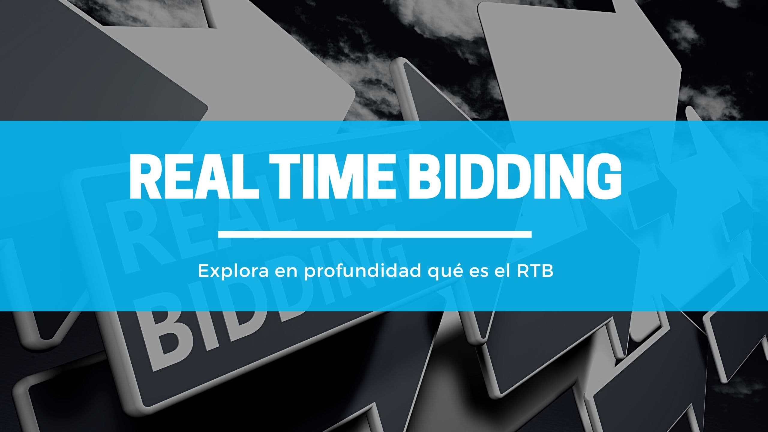 Real Time Bidding